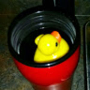 Meet your Posher, Jacqui